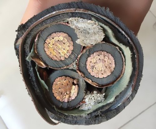  我國電纜工業(yè)已構(gòu)成類別較完全、規(guī)劃較大